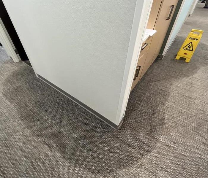 water damaged carpet in commercial office