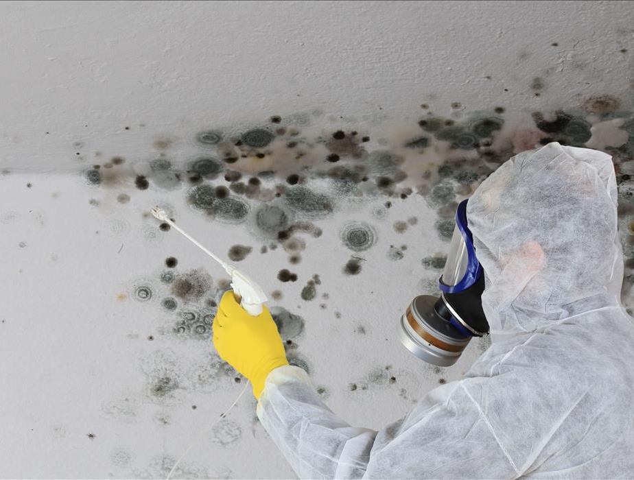 Mold removal technician in personal protection equipment removing black mold from walls